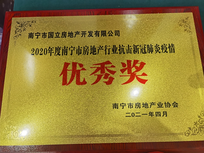 国立公司荣获“南宁市房地产行业抗击新冠肺炎疫情优秀奖”.jpg