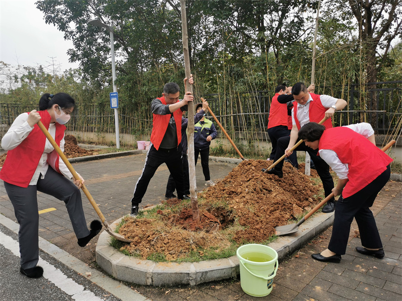 联合党支部植树活动1（李秋田）.jpg